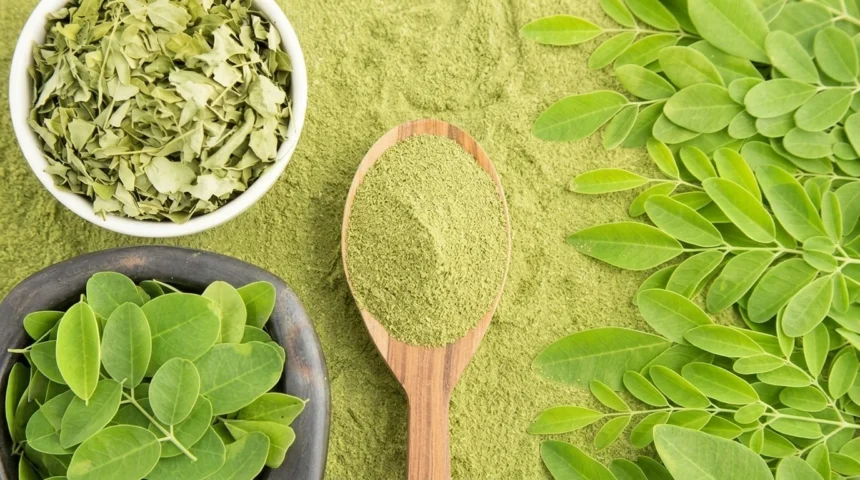 Os 7 Benefícios do Pó da Moringa
